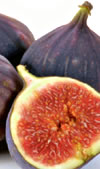 Backyard Treats - Fig 'Brown Turkey'